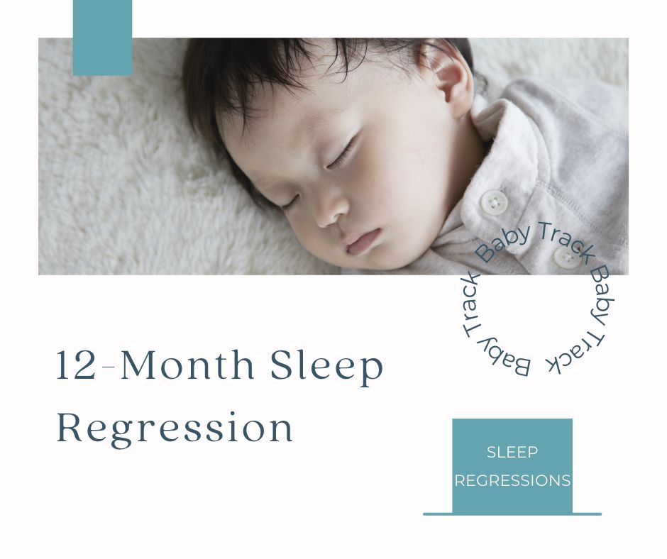 12 Month Sleep Regression