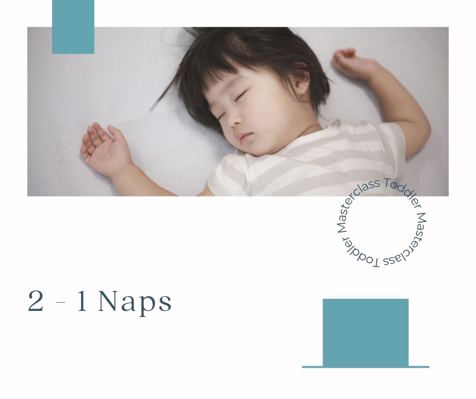 2 - 1 Naps